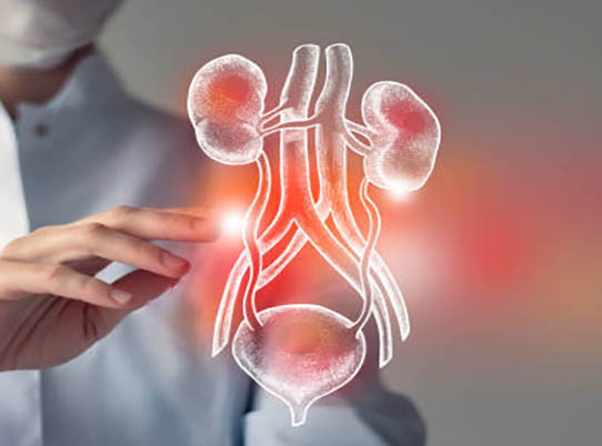 Urology doctor