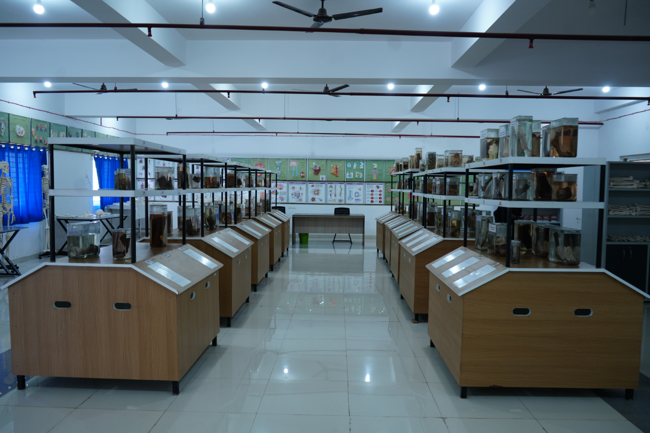 Campus